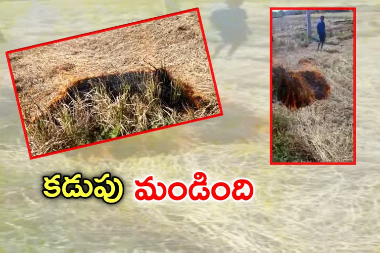 farmer-set-fire-to-the-crop-at-dubbaka-mandal-in-siddipet-district