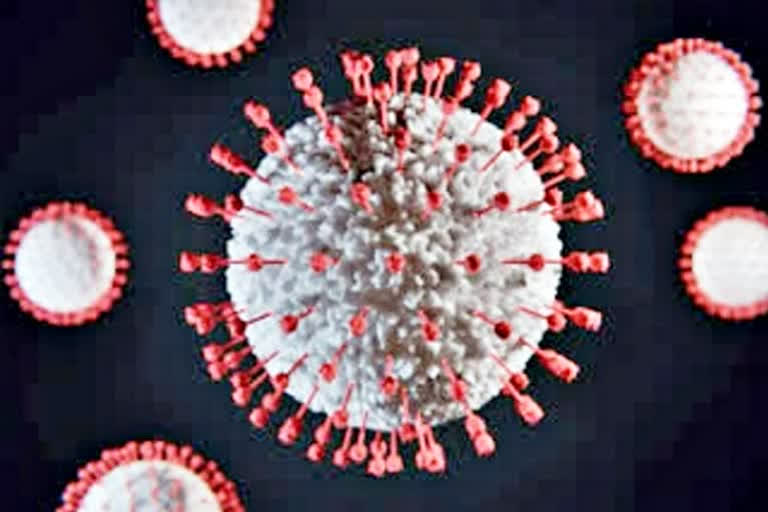 coronavirus