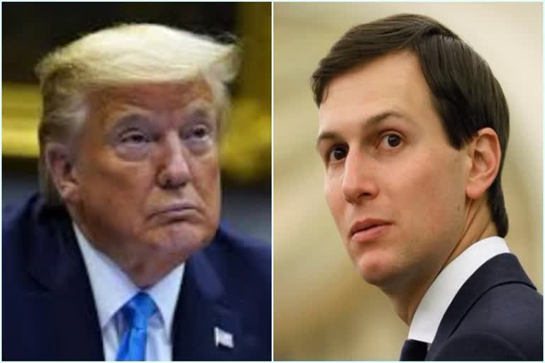 trump kushner