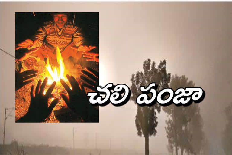 రాష్ట్రంపై పంజా విసురుతున్న చలిపులి