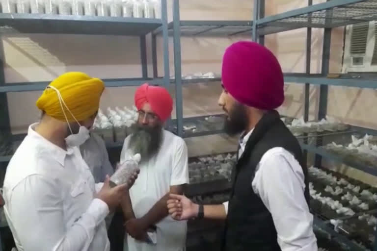 Sandeep Singh visits Mushroom Farm in Kurukshetra