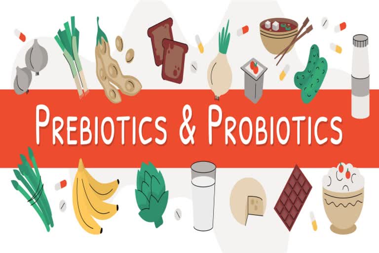 Probiotics, Healthy gut, Probiotics for gut