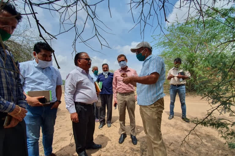 जालोर की ताजा हिंदी खबरें, Agriculture Department rajasthan