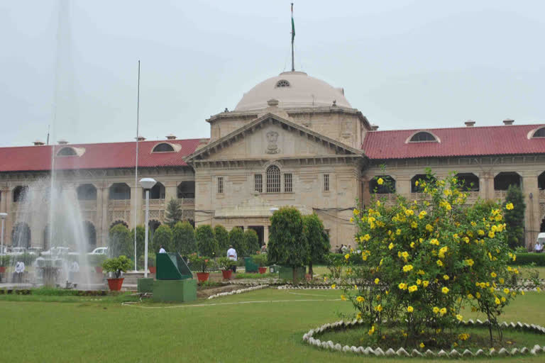 allahabad high court