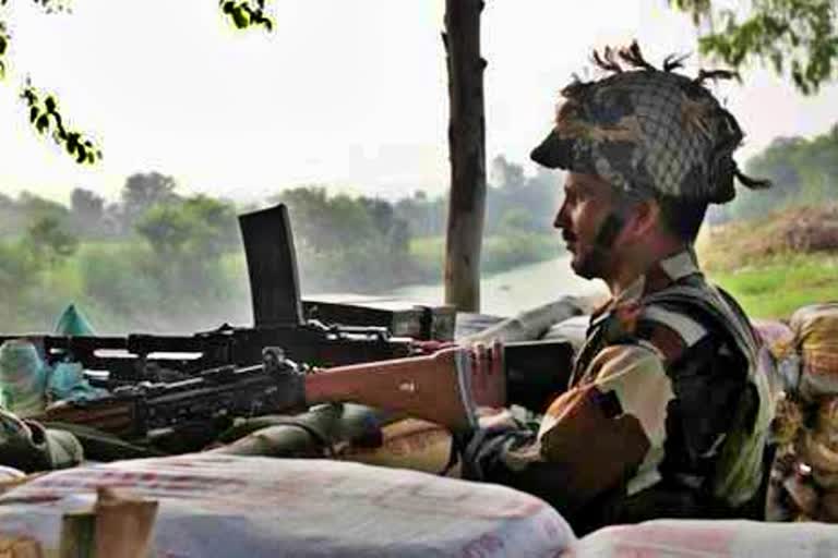 Two terrorists killed in Shopian encounter