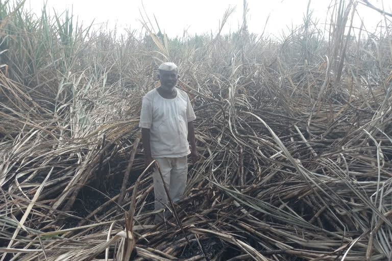 Farmer Baburao Dagadu Kodlinge