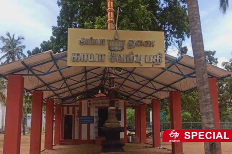 அய்யா வைகுண்டரின் அதிசய காயா வேம்பு பதி