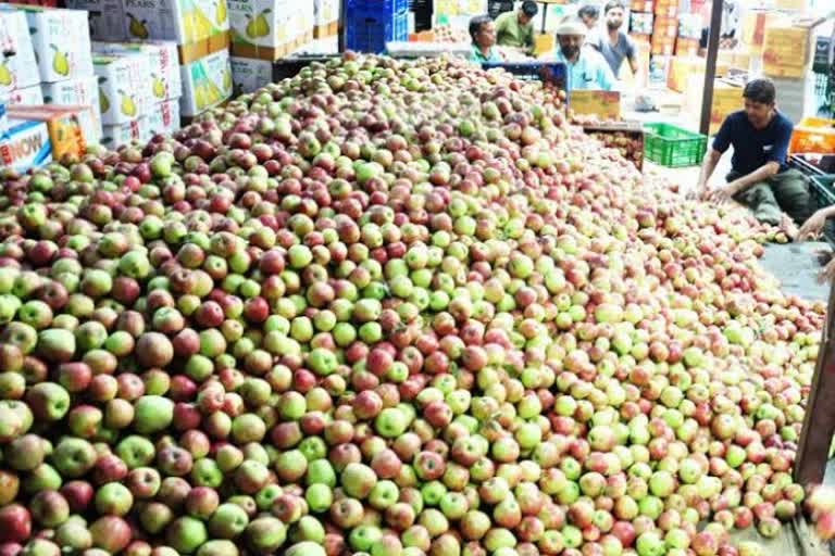 Apple season ends in Himachal, 30% less production than last year