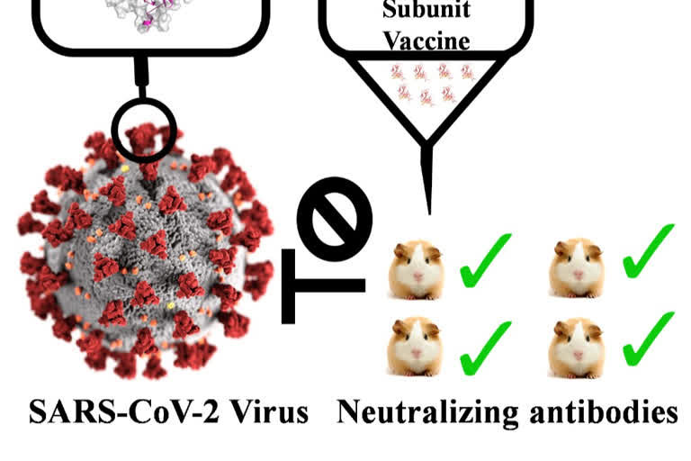 IISc working on effective vaccines for SARS-CoV-2 and HIV