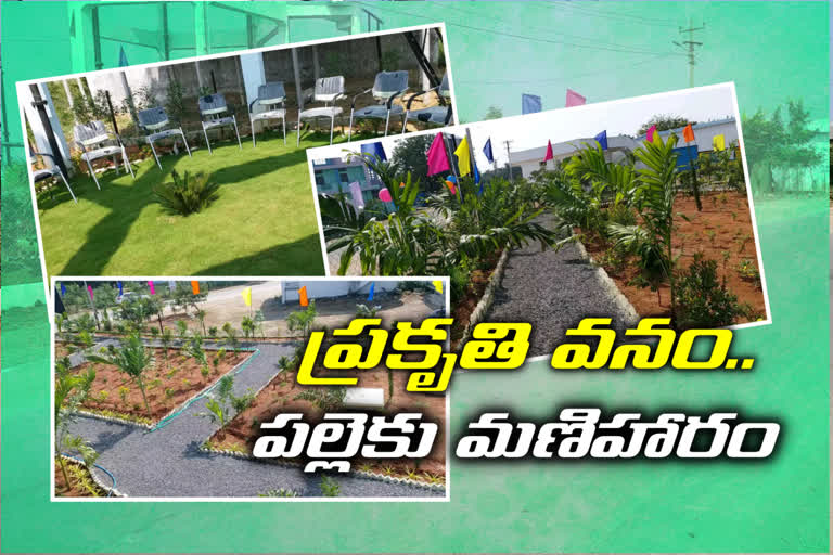 special story on Vempeta village prakruthi vanam in Jagityala district