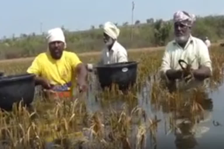 రైతన్నను వెంటాడుతున్న కష్టాలు