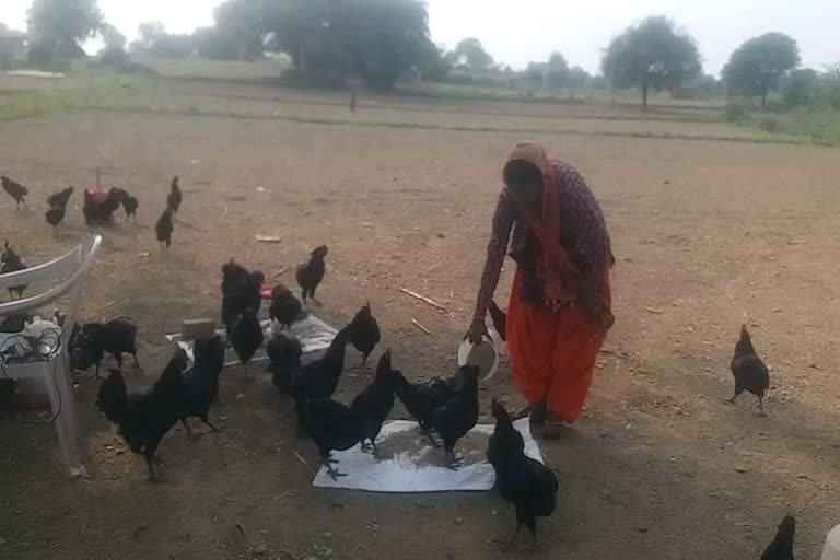 Trading of kadaknath cock