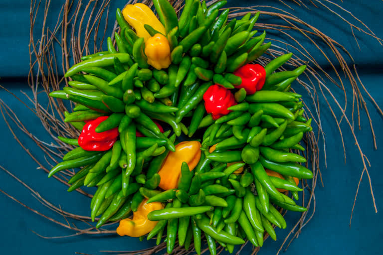 Eating chili Pepper, Chili for longer life, People eating chili Pepper