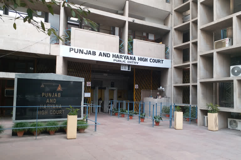 punjab and haryana high court dismisses petition of art and craft teachers