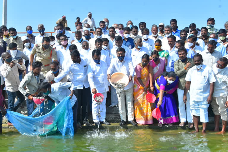 మత్స్యకారులు ఆర్థికంగా ఎదగడానికి ప్రభుత్వం కృషి