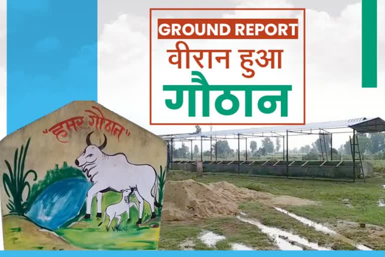 Ground Report on Gothan