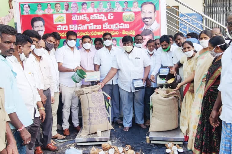 nagarkurnool MLA inaugurated paddy and maize buying centers in nagarkurnool district