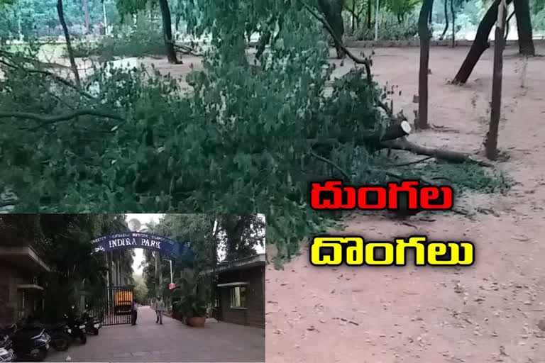 Indirapark officers police complaint about trees theft in park