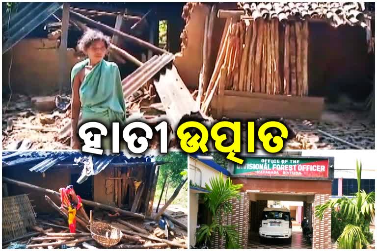 elephant destroy 3 house in rayagada