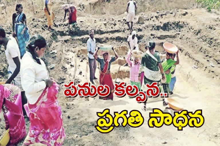 Employment activity in Vikarabad district