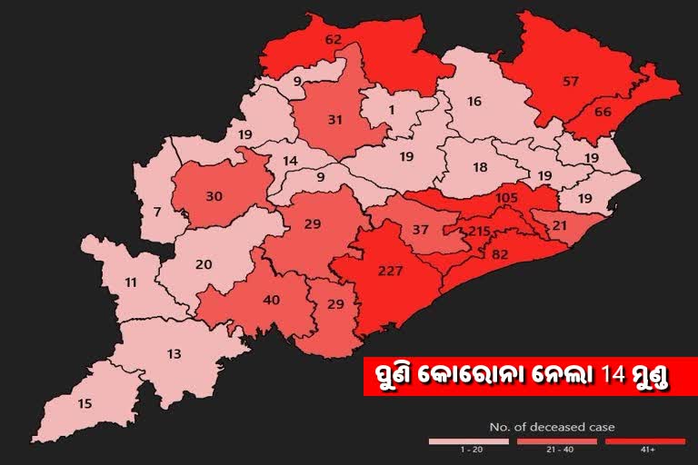 14 covid positive patients died while under treatment in hospitals