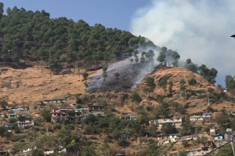 Kullu forest fire