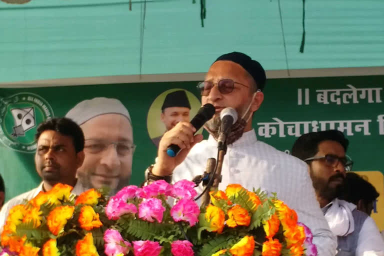 is aimim revolutionary figure in bihar election