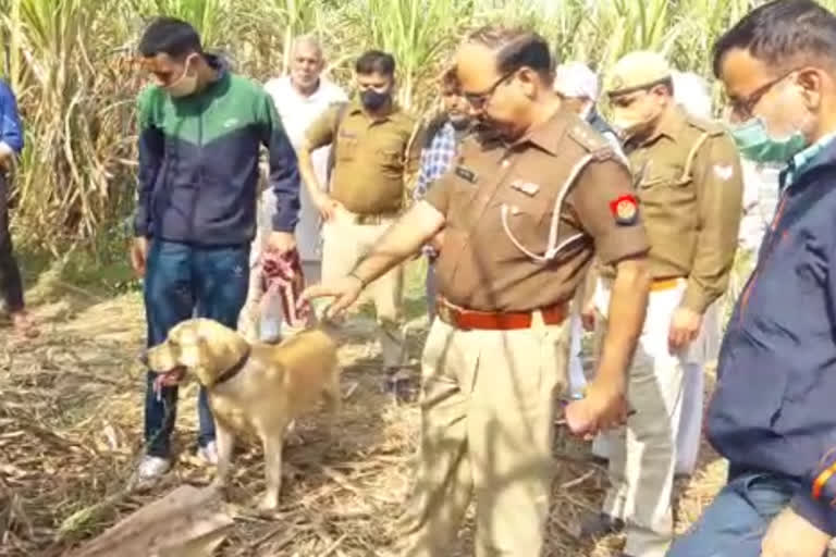 युवक की गोली मारकर की गई हत्या