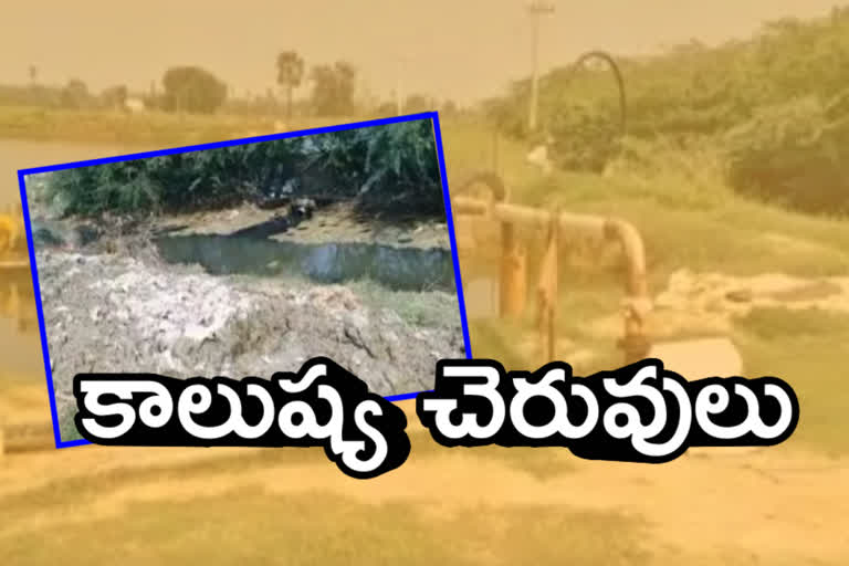 water pollution in nellore dist