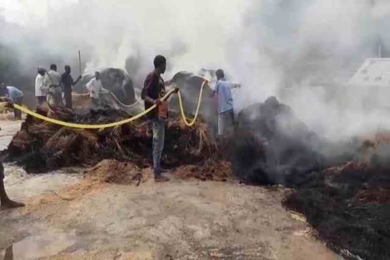 fire-in-paddy-field-in-chaibasa