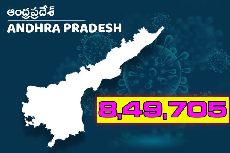 new corona cases in andhrapradhesh