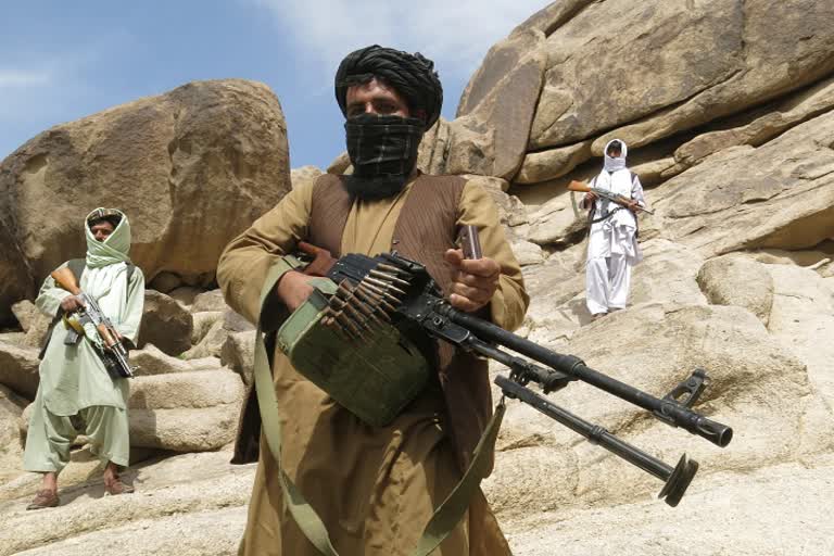 12 Taliban insurgent killed in Afghanistan's Uruzgan