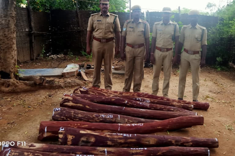 Seizure of red sandalwood