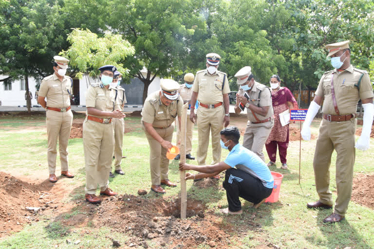 மரக்கன்று நட்ட சிறப்பு காவல் துறை இயக்குநர்