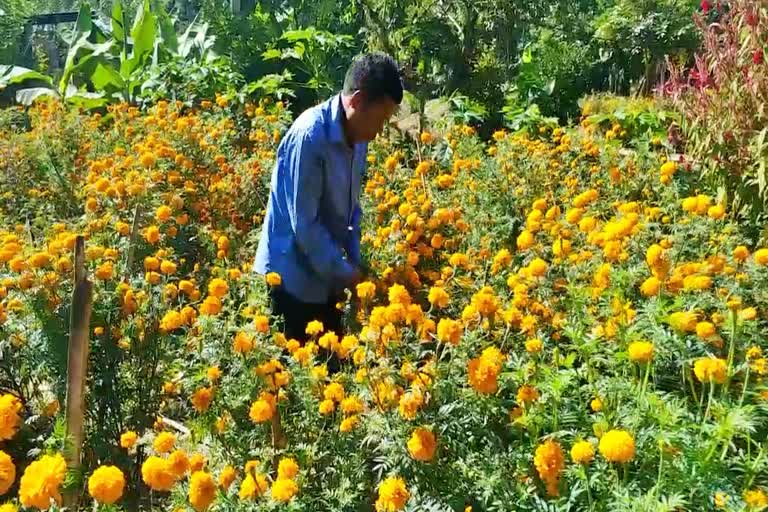 self reliant person with marigold flower business