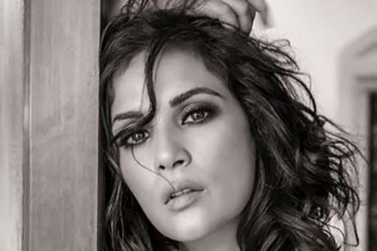 Richa chadda to get married with ali faza