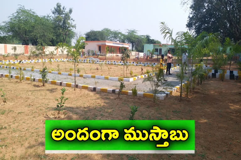 palle prakruthi vanam at anthakkapet in siddipet district