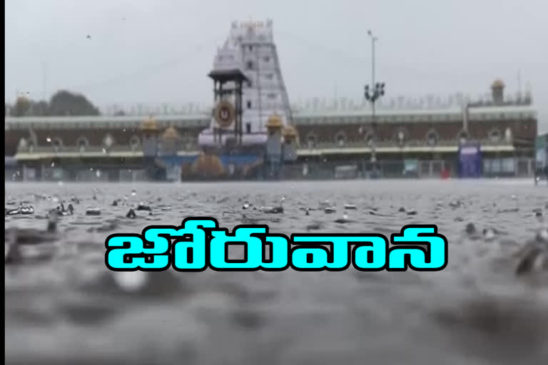 devotees face problems with heavy rain in tirumala