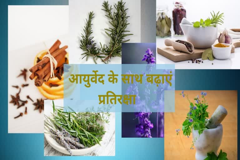 National Ayurveda Day