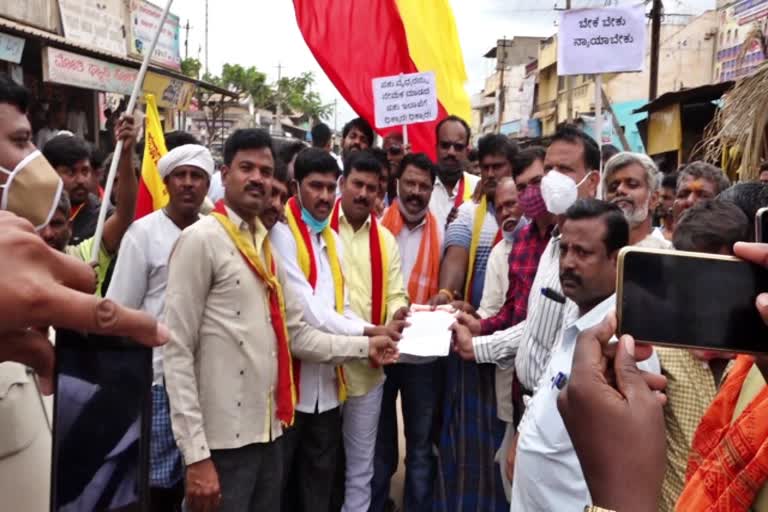 protest in Shigli villagers deman for veterinarian