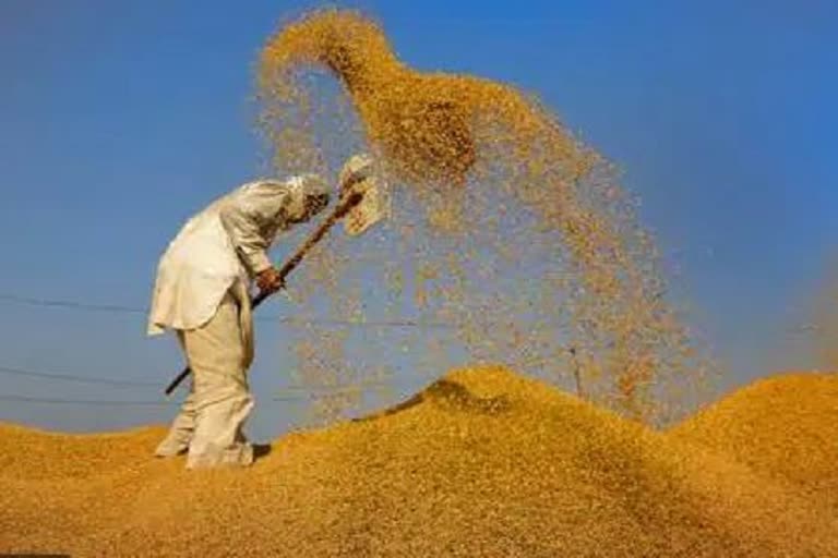 Reserve Bank of India raises cash credit limit for paddy procurement season for second time till end of November