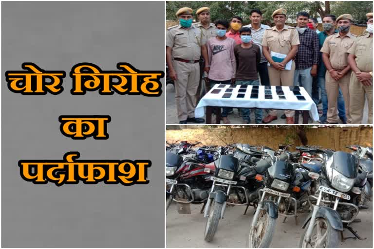 Thief gang busted in Kota,  Kota News