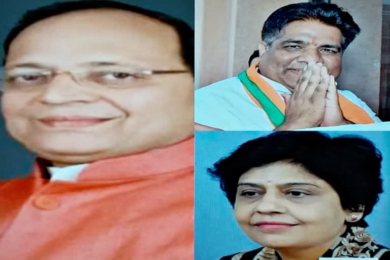 Arun Singh becomes Rajasthan BJP incharge,  Rajasthan News