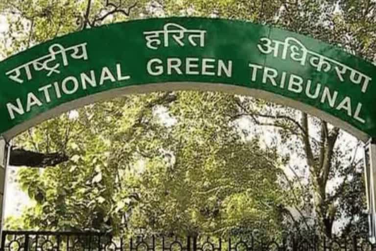 Firecrackers banned in NCR-adjoining districts following NGT order