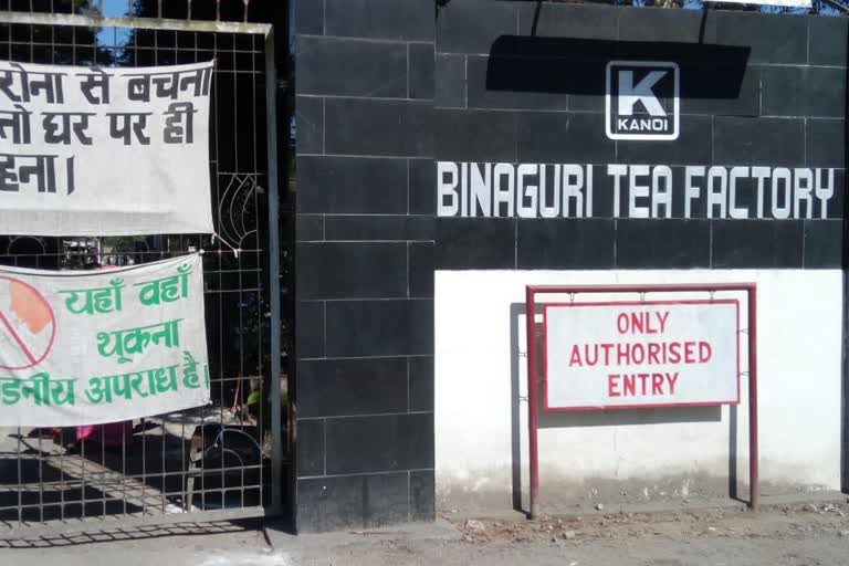 Binnaguri tea garden was closed