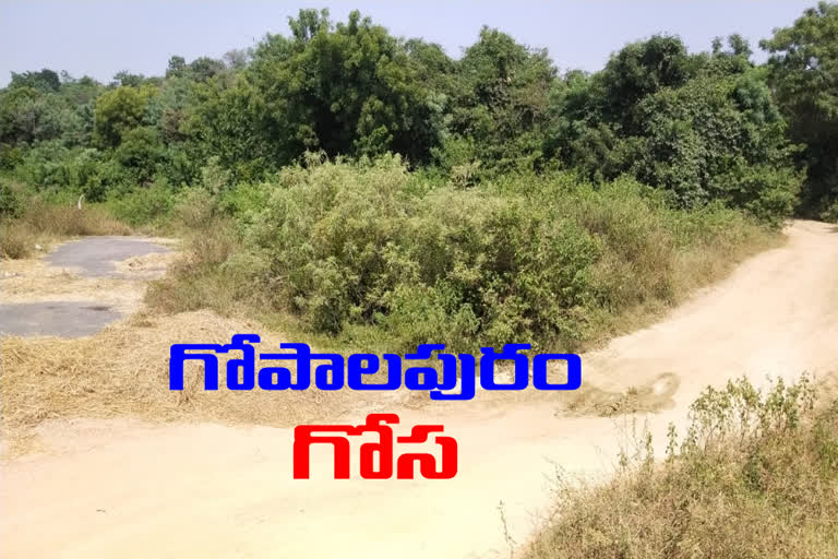 Road problem in yadaydri bhuvanagiri dist gopalapuram village