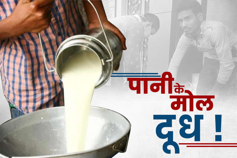 farmers-facing-economic-slowdown-due-to-decrease-in-milk-production-in-raigarh