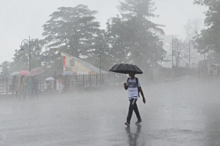 himachal weather forecast