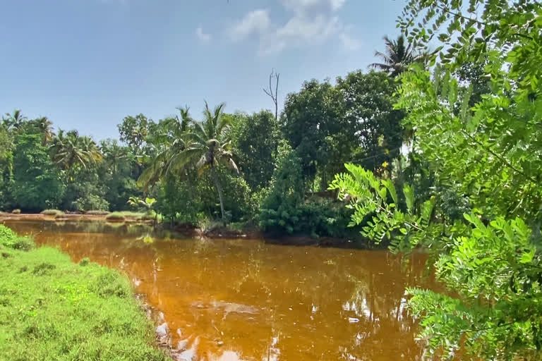 kollam chittoor natives drinking water issue  drinking water contains acid chittoor  ആസിഡ് ജലം കുടിച്ച് ചിറ്റൂർ ഗ്രാമവാസികൾ  ചിറ്റൂർ കുടിവെള്ളത്തിൽ ആസിഡ്  കെ.എം.എം.എൽ ആസിഡ് ടാങ്ക് ചോർന്നു  ആസിഡ് ടാങ്ക് ചോർന്ന് കുടിവെള്ളം മുട്ടി ചിറ്റൂർ  acid water chittoor  acid tank leaks to drinking water chittoor