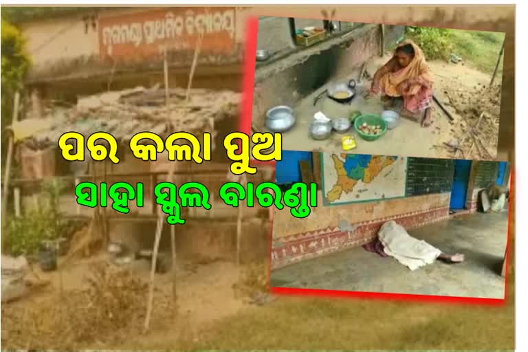 ବୋଲଗଡର ବୃଦ୍ଧ ଦମ୍ପତିଙ୍କୁ ଆଶ୍ରୟ ଦେଇଛି ସ୍କୁଲ ବାରଣ୍ଡା